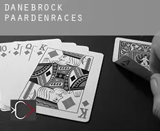 Danebrock paardenraces