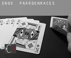 Enos  paardenraces