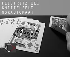 Feistritz bei Knittelfeld  gokautomaat