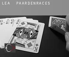 Lea  paardenraces