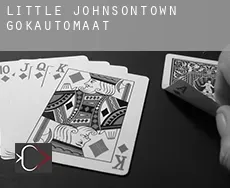 Little Johnsontown  gokautomaat