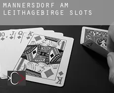 Mannersdorf am Leithagebirge slots