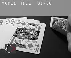 Maple Hill  bingo