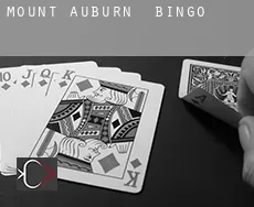 Mount Auburn  bingo