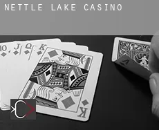 Nettle Lake  casino