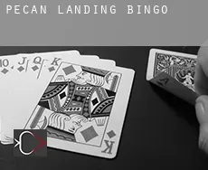 Pecan Landing  bingo