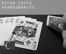Departamento de Picún Leufú  paardenraces