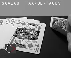 Saalau  paardenraces