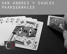 San Andrés Y Sauces  paardenraces
