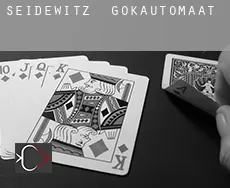 Seidewitz gokautomaat