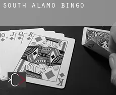 South Alamo  bingo