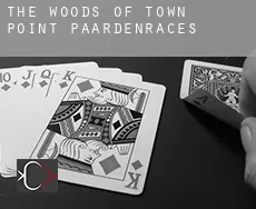 The Woods of Town Point  paardenraces