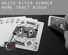 White River Summer Home Tract  bingo