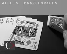 Willis paardenraces