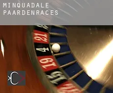 Minquadale paardenraces