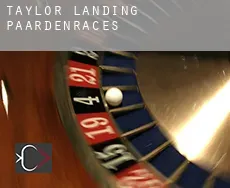 Taylor Landing  paardenraces