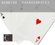 Dobbins  paardenraces