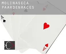 Molinaseca paardenraces