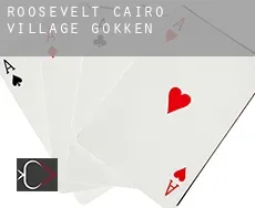 Roosevelt-Cairo Village  gokken