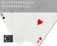 Waltringhausen  paardenraces