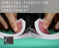 Hamilton Plantation Subdivision  gokautomaat