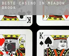 Beste casino in  Meadow Brook