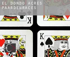 El Dondo Acres  paardenraces