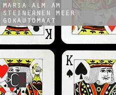 Maria Alm am Steinernen Meer  gokautomaat