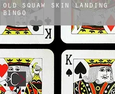 Old Squaw Skin Landing  bingo