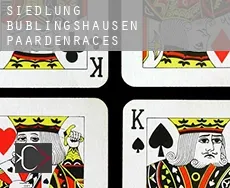 Siedlung Büblingshausen  paardenraces