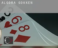 Algora  gokken