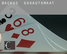Backus  gokautomaat