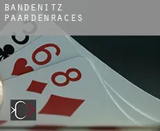 Bandenitz paardenraces
