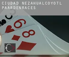 Ciudad Nezahualcóyotl  paardenraces