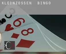 Kleinzössen  bingo