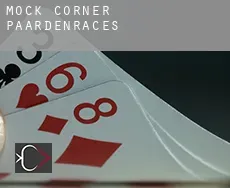 Mock Corner  paardenraces