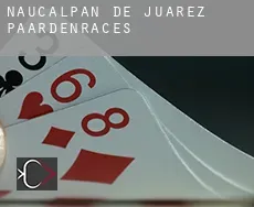 Naucalpan de Juárez  paardenraces