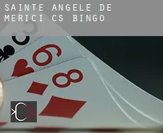 Sainte-Angèle-de-Mérici (census area)  bingo