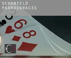 Schönfeld paardenraces