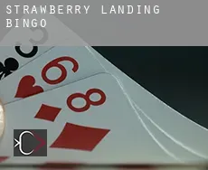 Strawberry Landing  bingo