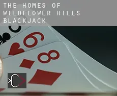 The Homes Of Wildflower Hills  blackjack