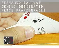 Fernando Salinas  paardenraces