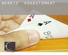Norris  gokautomaat