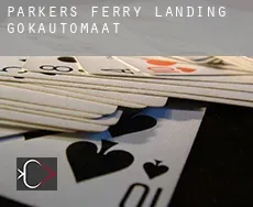 Parkers Ferry Landing  gokautomaat