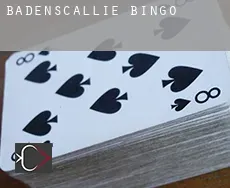 Badenscallie  bingo