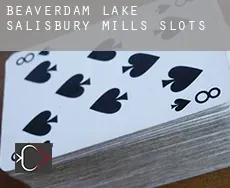 Beaverdam Lake-Salisbury Mills  slots