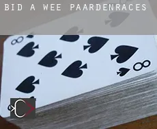 Bid-A-Wee paardenraces
