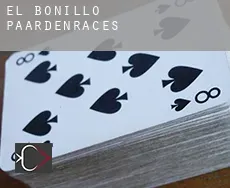 El Bonillo  paardenraces