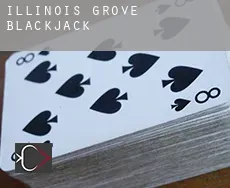 Illinois Grove  blackjack