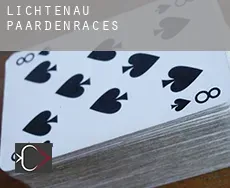 Lichtenau paardenraces